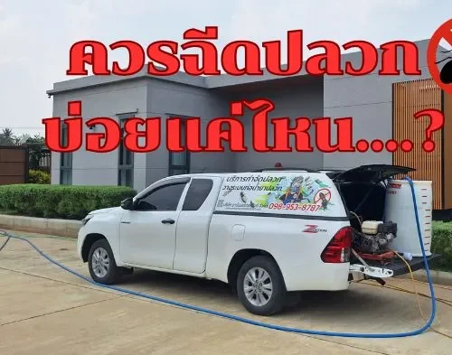 กำจัดปลวกราคา 19 บ่อยแค่ไหน 1 e1754838498323