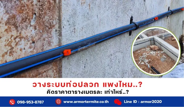 วางระบบท่อปลวกแพงไหม