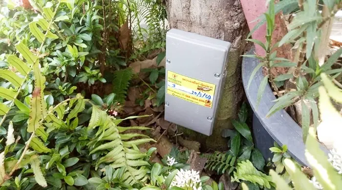 termite-service-gallery-10