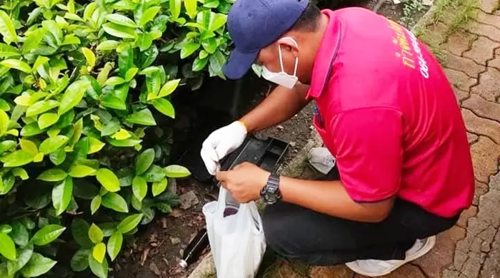 termite-service-gallery-12