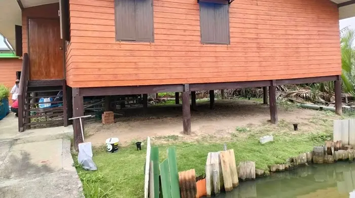 termite-service-gallery-14