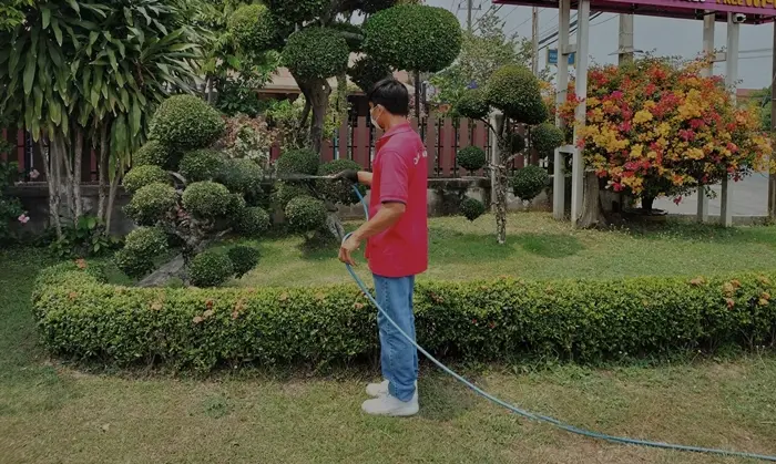 termite solution poster v2