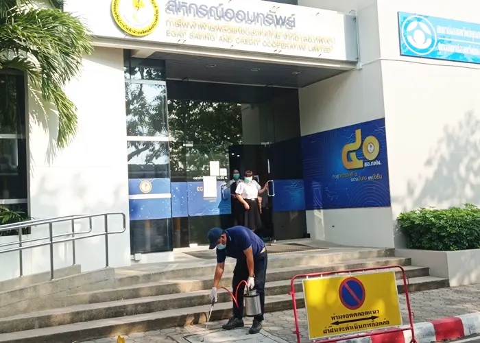 termite-solution-showcase-1032567-1