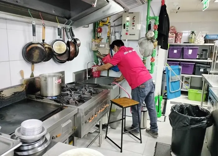 termite-solution-showcase-1032567-12