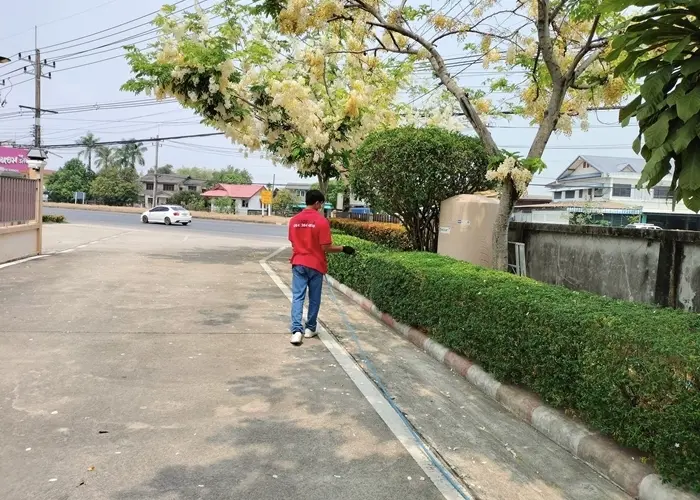 termite-solution-showcase-1032567-13