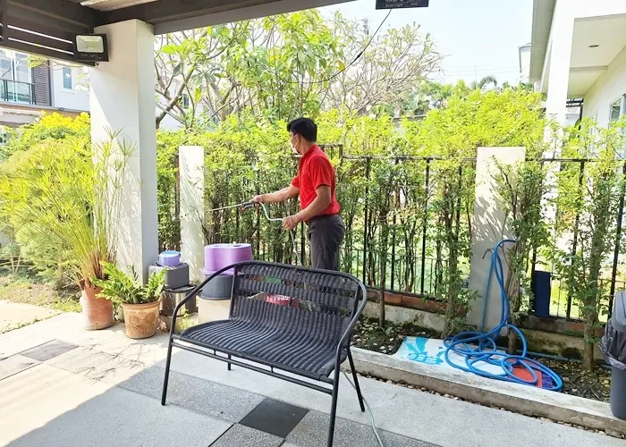 termite-solution-showcase-1032567-16