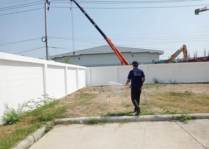 termite-solution-showcase-1032567-2