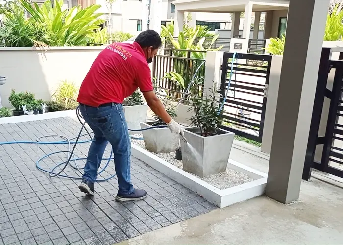 termite-solution-showcase-1032567-5