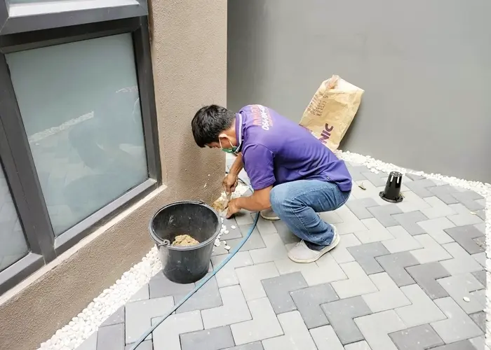 termite-solution-showcase-1032567-8