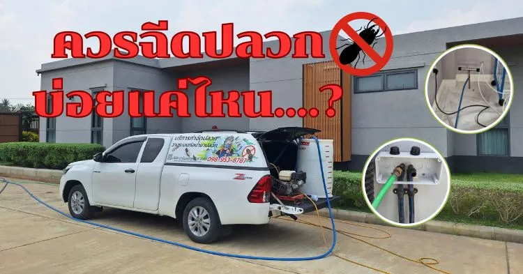 ควรฉีดปลวก อัดน้ำยาเคมีปลวกป้องกันปลวก บ่อยแค่ไหน...? 1 บ่อยแค่ไหน 1 1