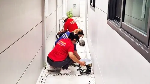 ตรวจเช็คเหยื่อกำจัดปลวกด้วยระบบเหยื่อNEMESIS