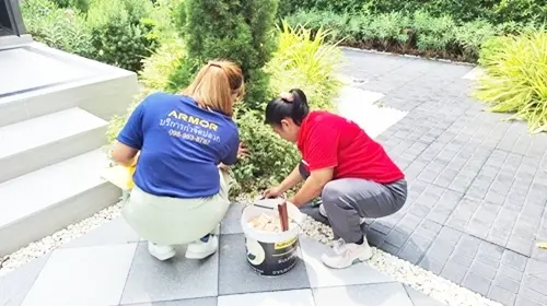 termite-gallery-set-4