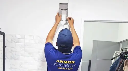 termite-gallery-set-5