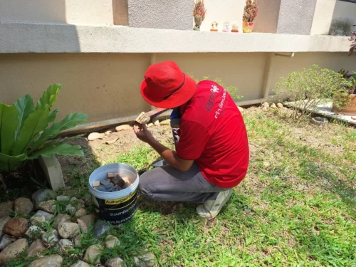 ตรวจเช็คเหยื่อกำจัดปลวก