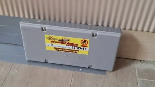 51000 0 e1721047522867
