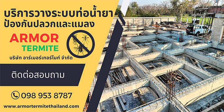 วางท่อกำจัดปลวก 17 วางท่อปลวก