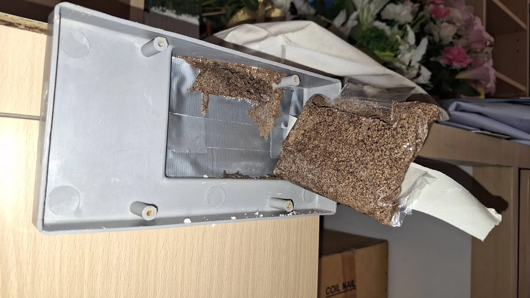 ปลวกกินเหยื่อในสถานีเหยื่อ เนเมซิส