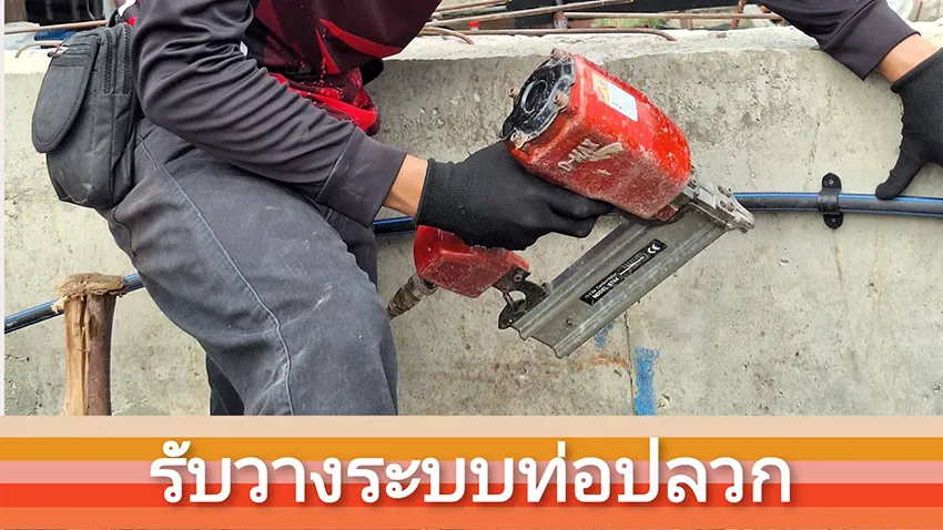 เดินท่อกำจัดปลวกสมุทรสาคร รับฉีดปลวก