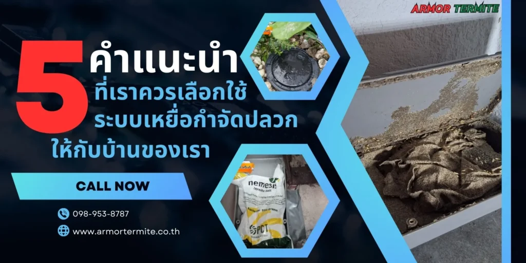 5คำแนะนำ ที่เราควรเลือกใช้ระบบเหยื่อกำจัดปลวกให้กับบ้านของเรา