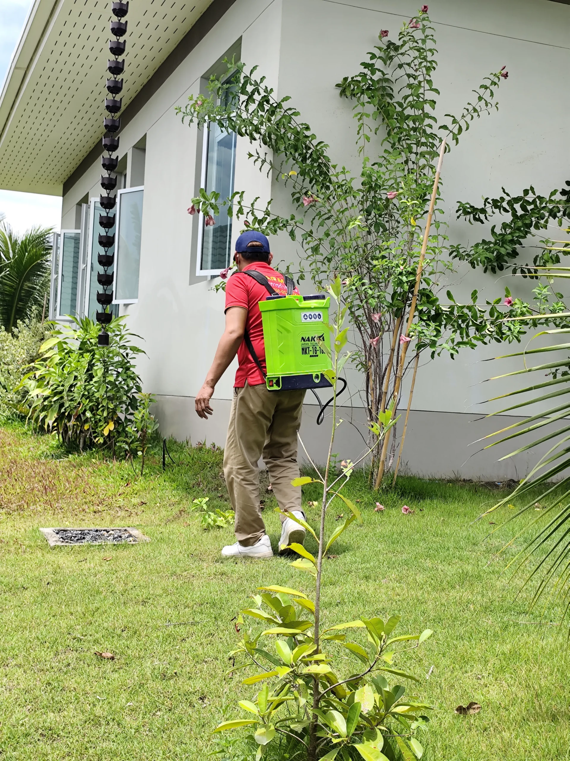 IMG_20240608_125819_11zon