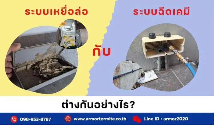 ระบบเหยื่อล่อกับระบบฉีดเคมี ต่างกันอย่างไร