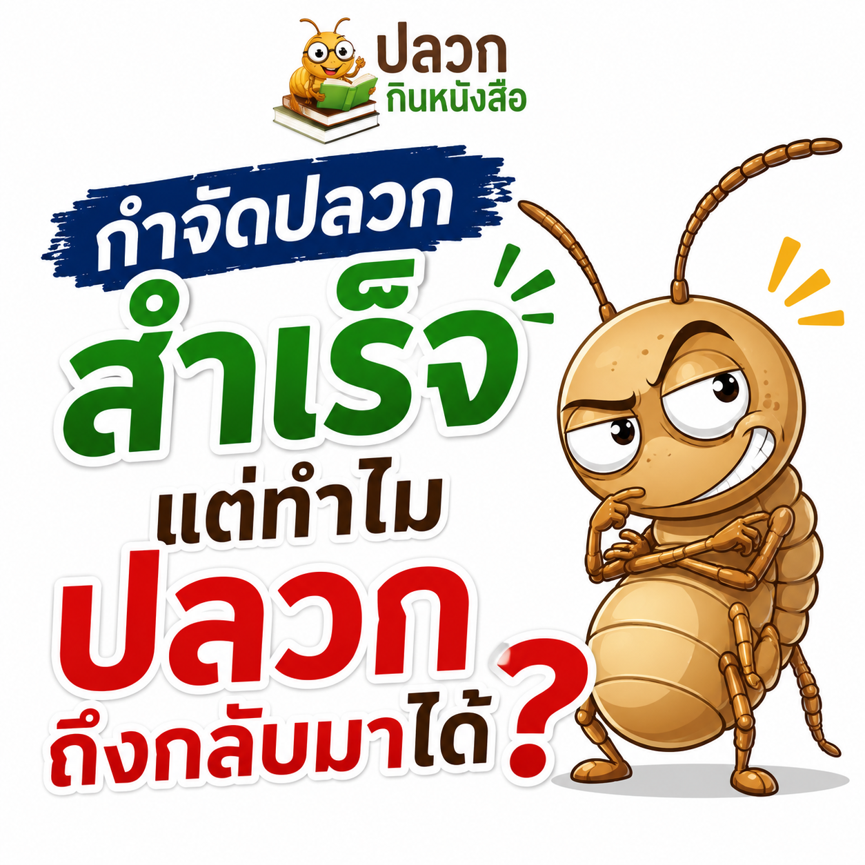 กำจัดปลวกสำเร็จ แต่ทำไมปลวกถึงกลับมาได้?