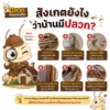 สังเกตยังไงว่าบ้านมีปลวก?